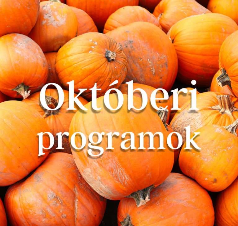 Programok a Nappali Klubokban