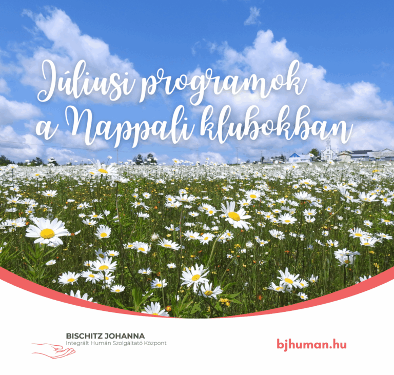 Programok a Nappali Klubokban