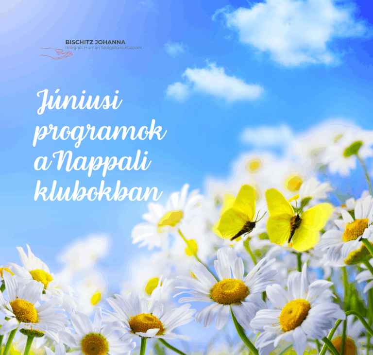 Programok a Nappali Klubokban