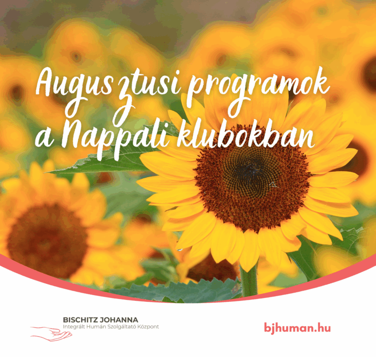 Programok a Nappali Klubokban