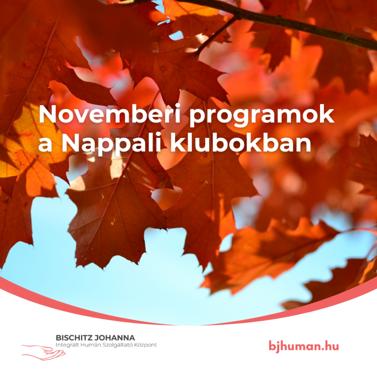 Programok a Nappali Klubokban