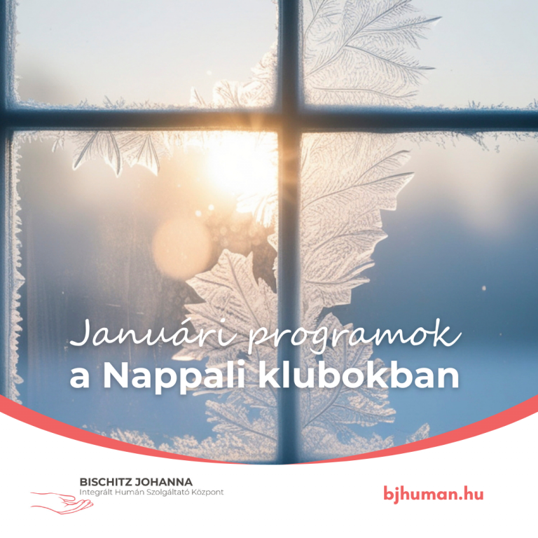 Programok a Nappali Klubokban