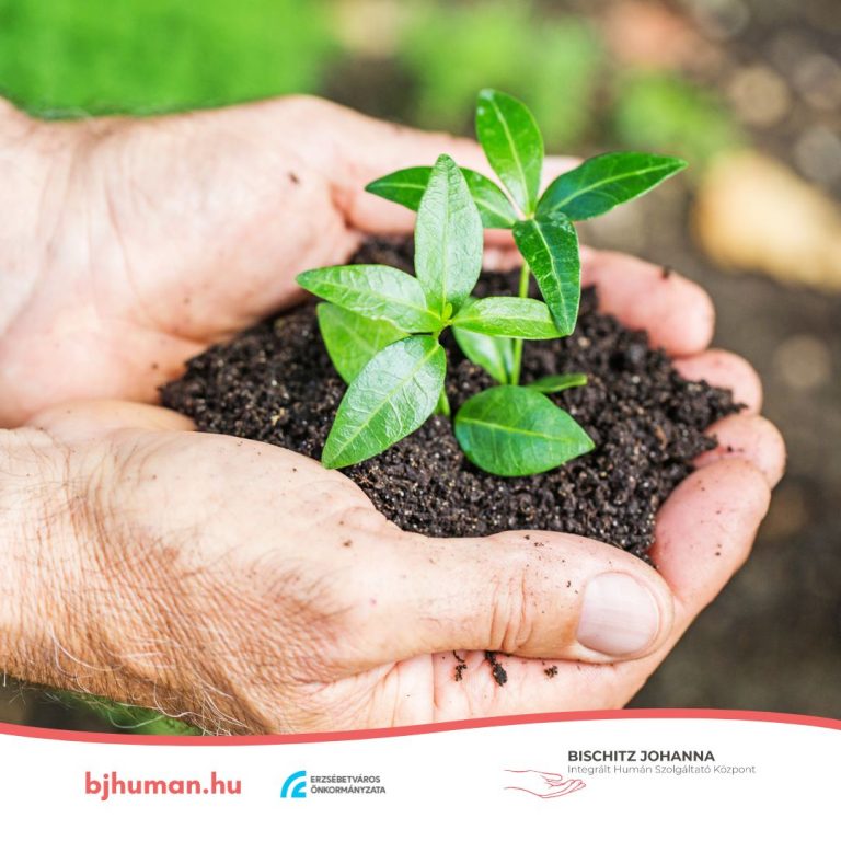 Zöldterápia időseknek