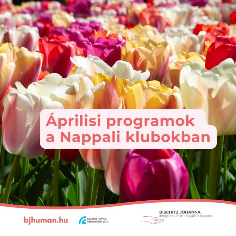 Programok a Nappali Klubokban