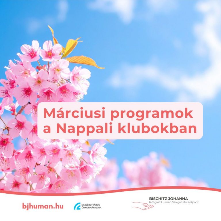 Programok a Nappali Klubokban