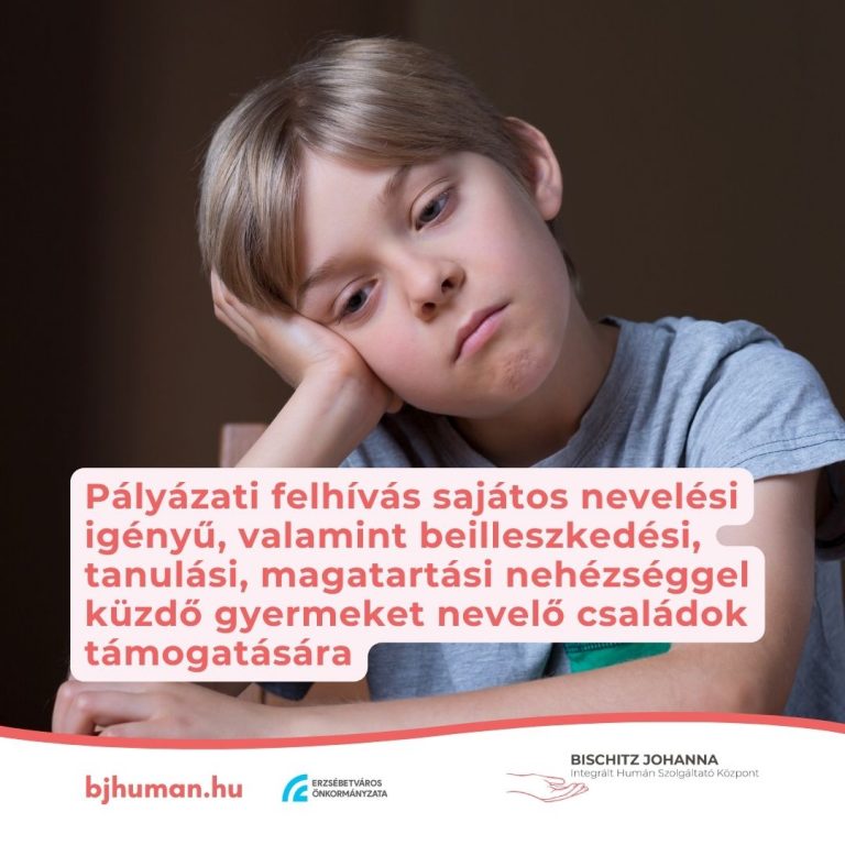 SNI / BTM pályázati felhívás