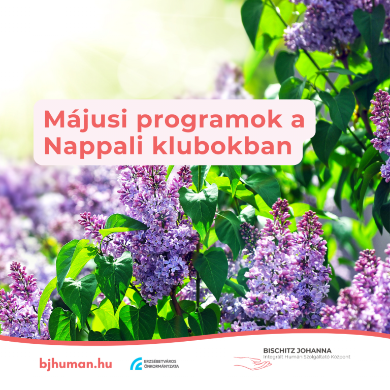 Programok a Nappali Klubokban