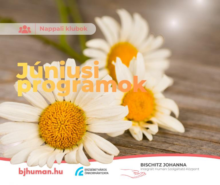 Programok a Nappali Klubokban