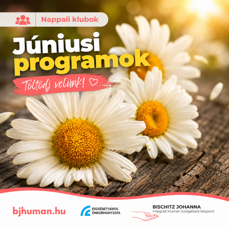 Programok a Nappali Klubokban