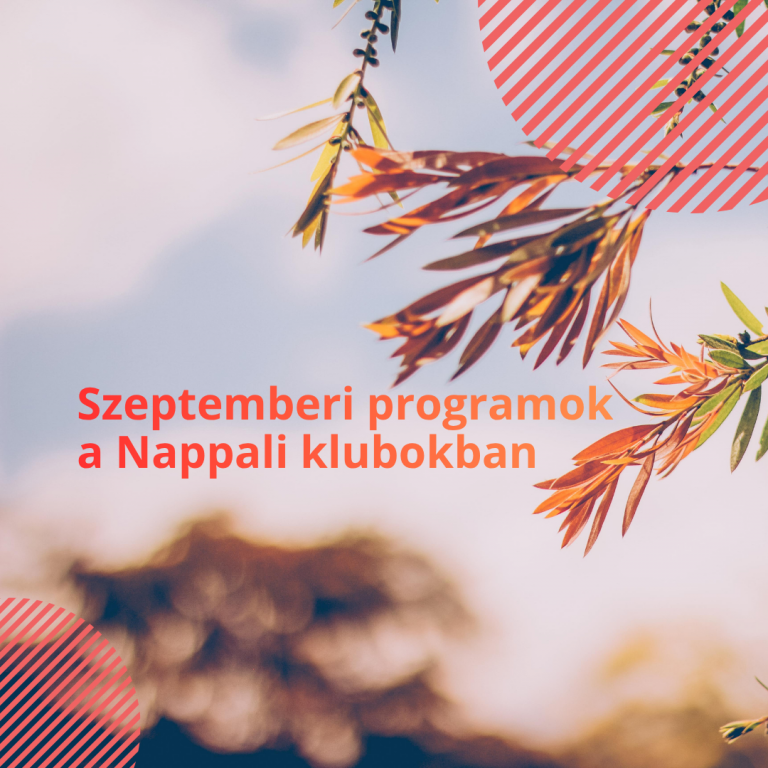 Programok a Nappali Klubokban